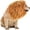 Brown, variant on Funny Pet Dog Wig Transform Your Dog Into Adorable Character Headgear Instant Party Accessory