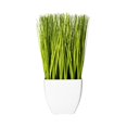 thumbnail image 1 of Vickerman Plantes Artificielles en Pot, 11,5 Po, Vert, 1 of 2