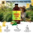 thumbnail image 3 of Moringa Living Bitter 16oz, 3 of 8