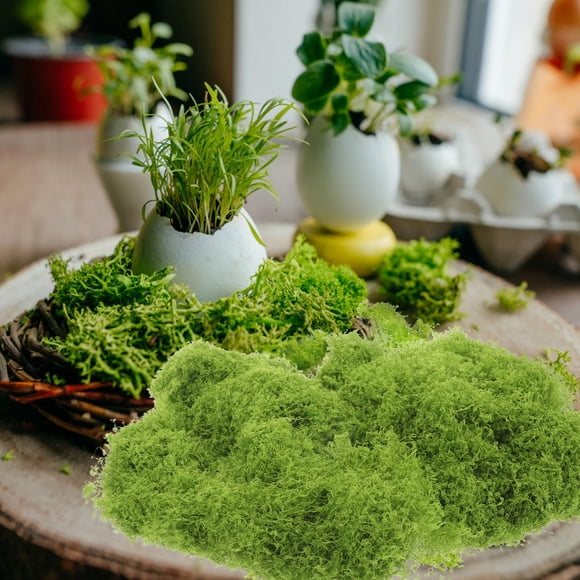 HONMEET 1 Pack Light Green Artificial Moss Moss for Planters Indoor Decorative Safe Material Homeowners