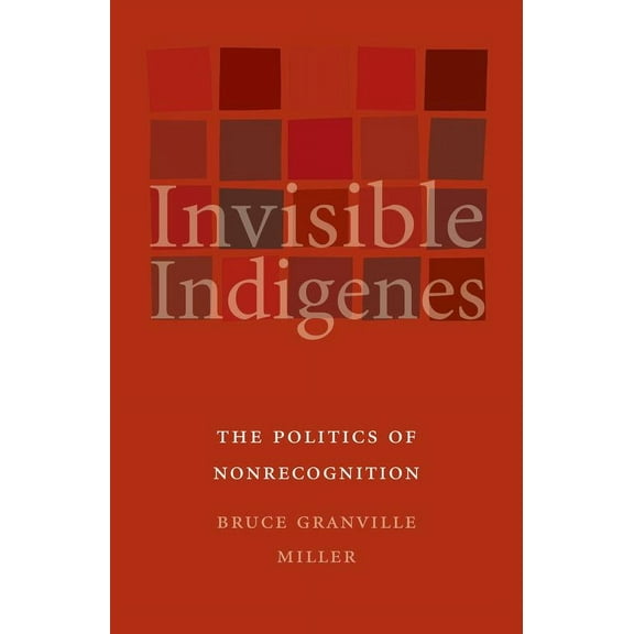 Invisible Indigenes : The Politics of Nonrecognition (Paperback)