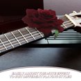 thumbnail image 3 of KALLORY Guitar String Mute Damper Ajuste Para Estudio En Casa Y Presentaciones Con Sonido Refinado, 3 of 8