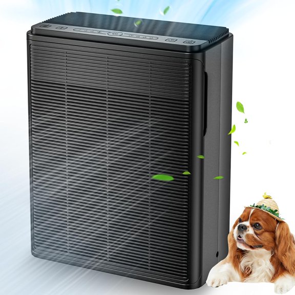 Air Purifier for Large Room Up to 2000 Ft² with Washable Filter and H13 HEPA Filter, for Pets, Smoke, Hair, Dander, Odor, Black