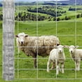 thumbnail image 7 of Riedhoff Farm Fence Panel 4 ft x 164 ft, Galvanized Wire Fencing, Silver, 7 of 7