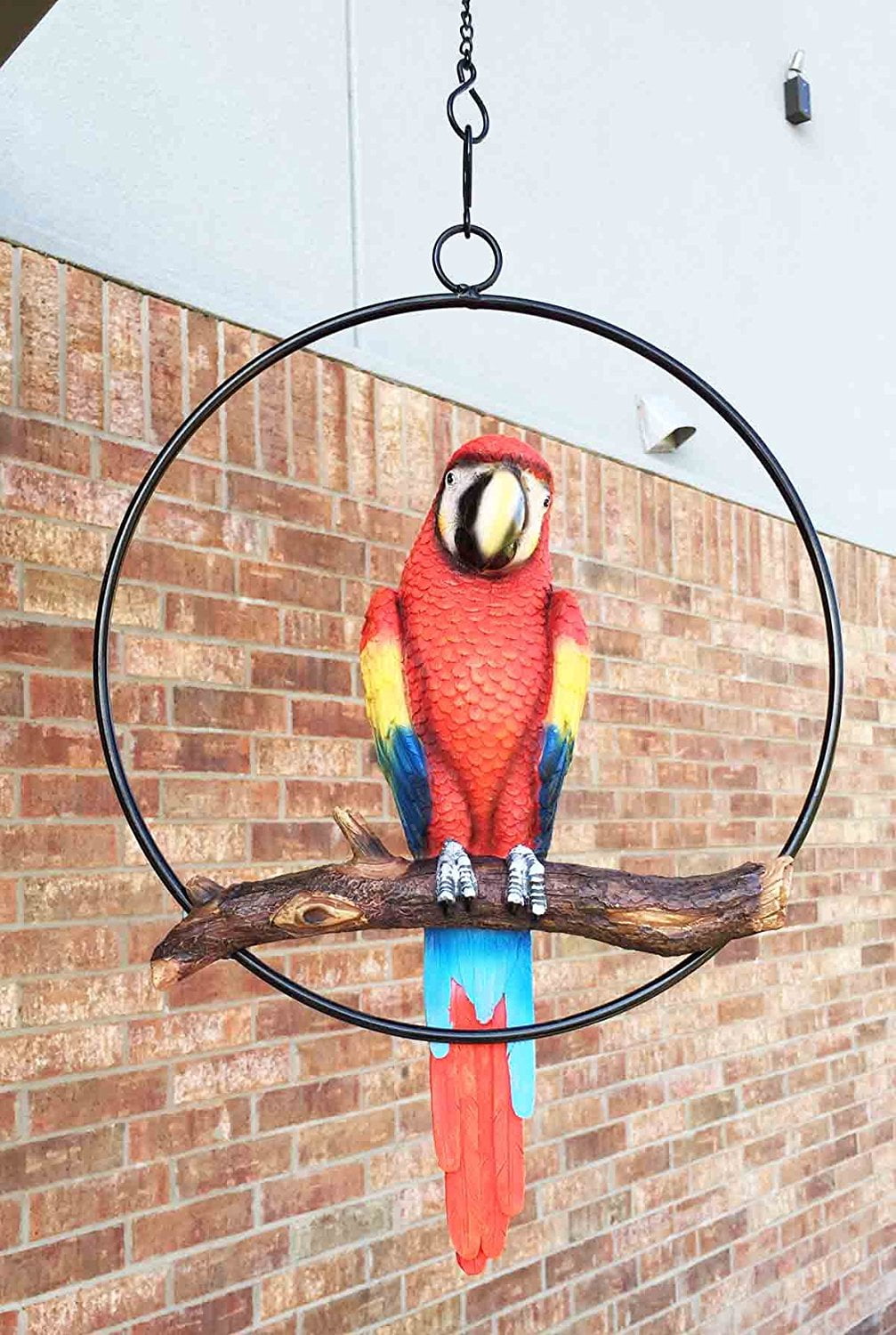 Patio Home Garden Hanging Scarlet Macaw Parrot Perching On