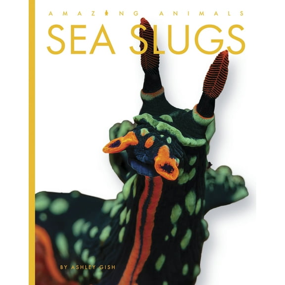 Amazing Animals Sea Slugs, (Hardcover)