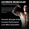 thumbnail image 3 of El suplemento FINAFLEX Pure CREATINE 300 ml promueve la musculatura, 3 of 6