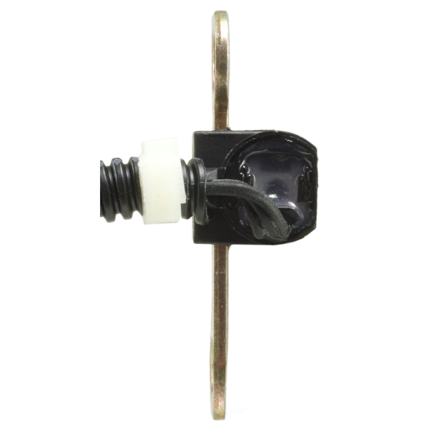Engine Crankshaft Position Sensor