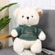 thumbnail image 4 of Lindas sudaderas con capucha de oso de peluche muñeca de tela de caramelo regalo de muñeca de tela de oso de peluche para niñas regalo de Navidad regalo de cumpleaños Rojo Verde, 4 of 5