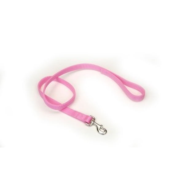 Coastal Pet Products #904 1 Inch Wide X 4 Foot Long Bright Pink Heavy Weight Lead (Pack of 1)