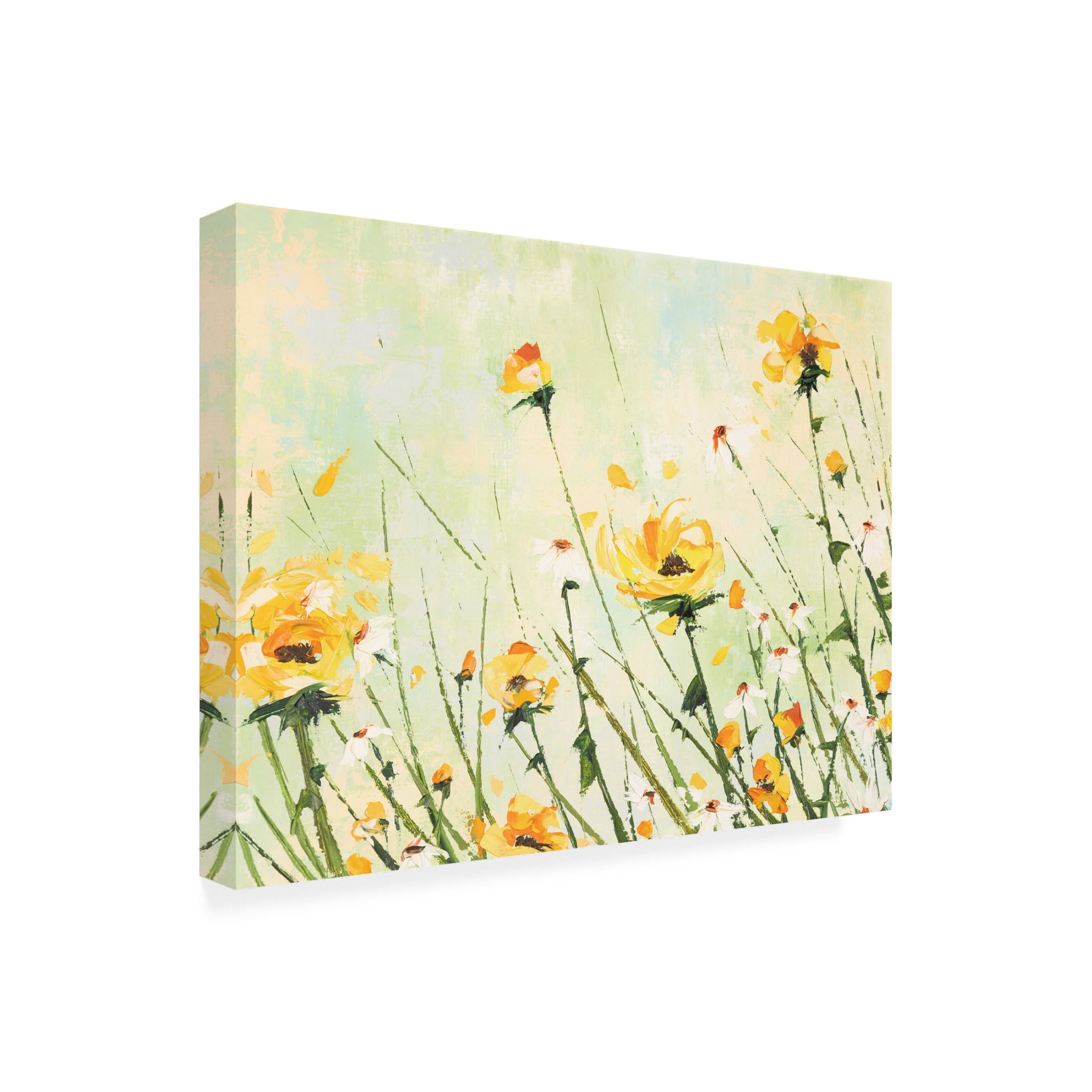 Canvas Wall Art - Emma Coghlan 'Chrysanthemum and Daisy Field' Wall Art for Living Room, Bedroom, or Office Décor by Trademark Fine Art - 19 x 14 Inches