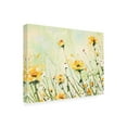 thumbnail image 4 of Canvas Wall Art - Emma Coghlan 'Chrysanthemum and Daisy Field' Wall Art for Living Room, Bedroom, or Office Décor by Trademark Fine Art - 47 x 35 Inches, 4 of 4