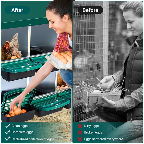 Easy Egg Collection Metal Chicken Nesting Box – 6 Compartments, Roll Away Design, Wall Mountable, Durable, Simple Clean for Backyard Coop – Green, Without Bracket Legs, 6 Compartment Egg Laying Box