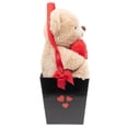 thumbnail image 2 of Peluche Way To Celebrate Oso en Caja De Regalo, 2 of 4
