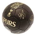 thumbnail image 2 of Tottenham Hotspur FC Phantom Signature Football, 2 of 2