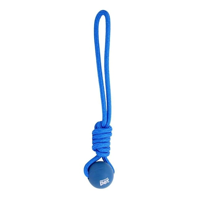 Juguete Para Mascota Professor Pet Pelota de Hule 1 Pza