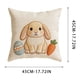 thumbnail image 3 of Fundas de almohada de Pascua | Fundas decorativas para cojines de sofá y cama | Fundas cuadradas de 45 x 45 cm | Decoración para el hogar: sala de estar, dormitorio, patio | Juego de 1, 3 of 6