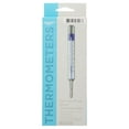 Equate MercuryFree 3Minute Glass Thermometer