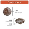 thumbnail image 4 of 25 Pack 1.25 Inch Sealed Rusted Finish Decorative Door Nail Clavos By Borderland Rustic Hardware, 4 of 4