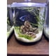 thumbnail image 3 of Sustrato Aqua Natural Sugar White Sand 9 kg para acuarios, 3 of 3