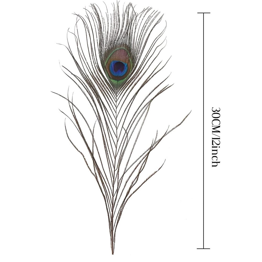 LNGOOR 100 Pieces Natural Peacock Feathers for Craft Halloween Costume Bridesmaid Corsage Christmas Wreath and Home Decor (10-12 inches)