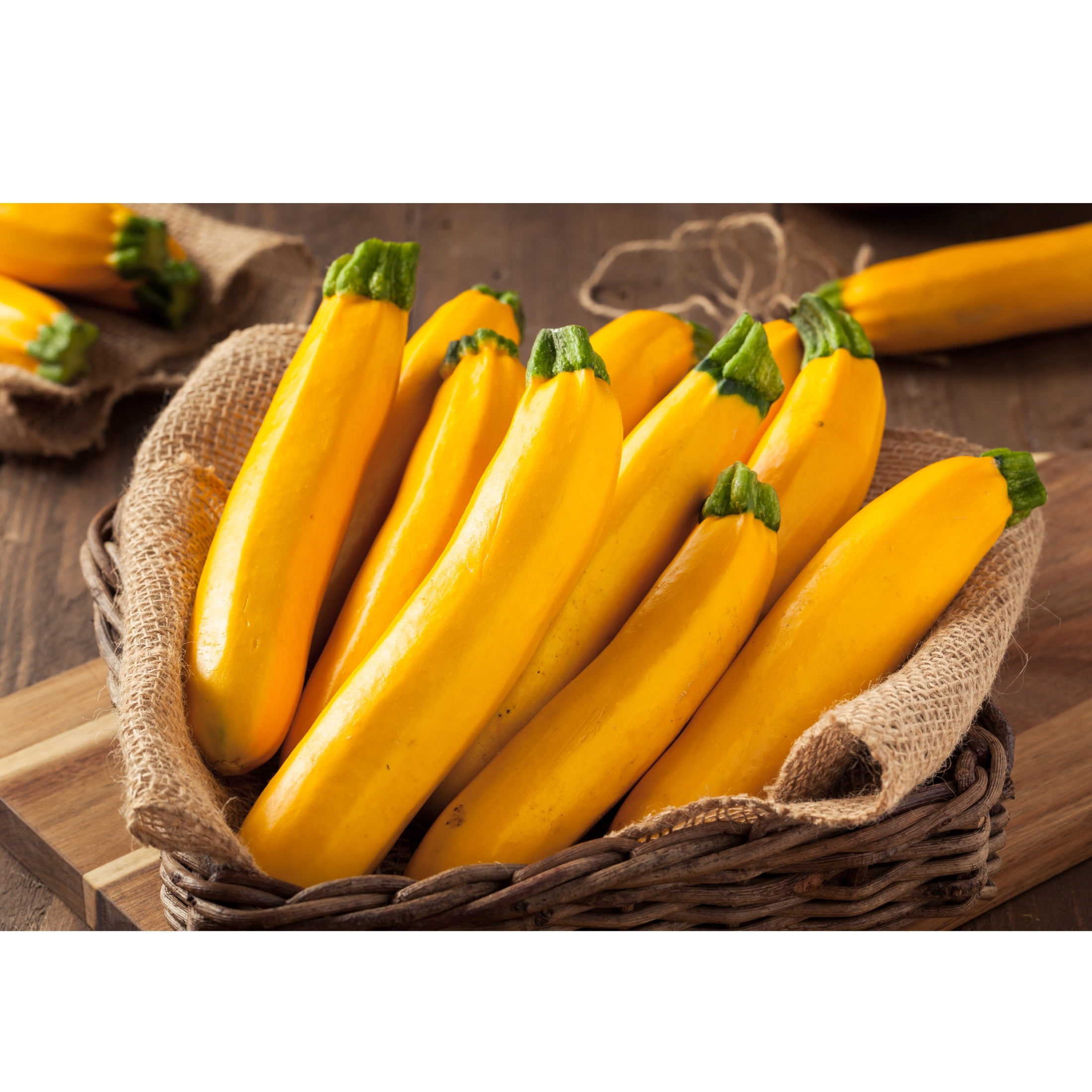 Proven Winners 4"   Gold Rush Zucchini Live Plant in 4.25" Pot (4 Count)