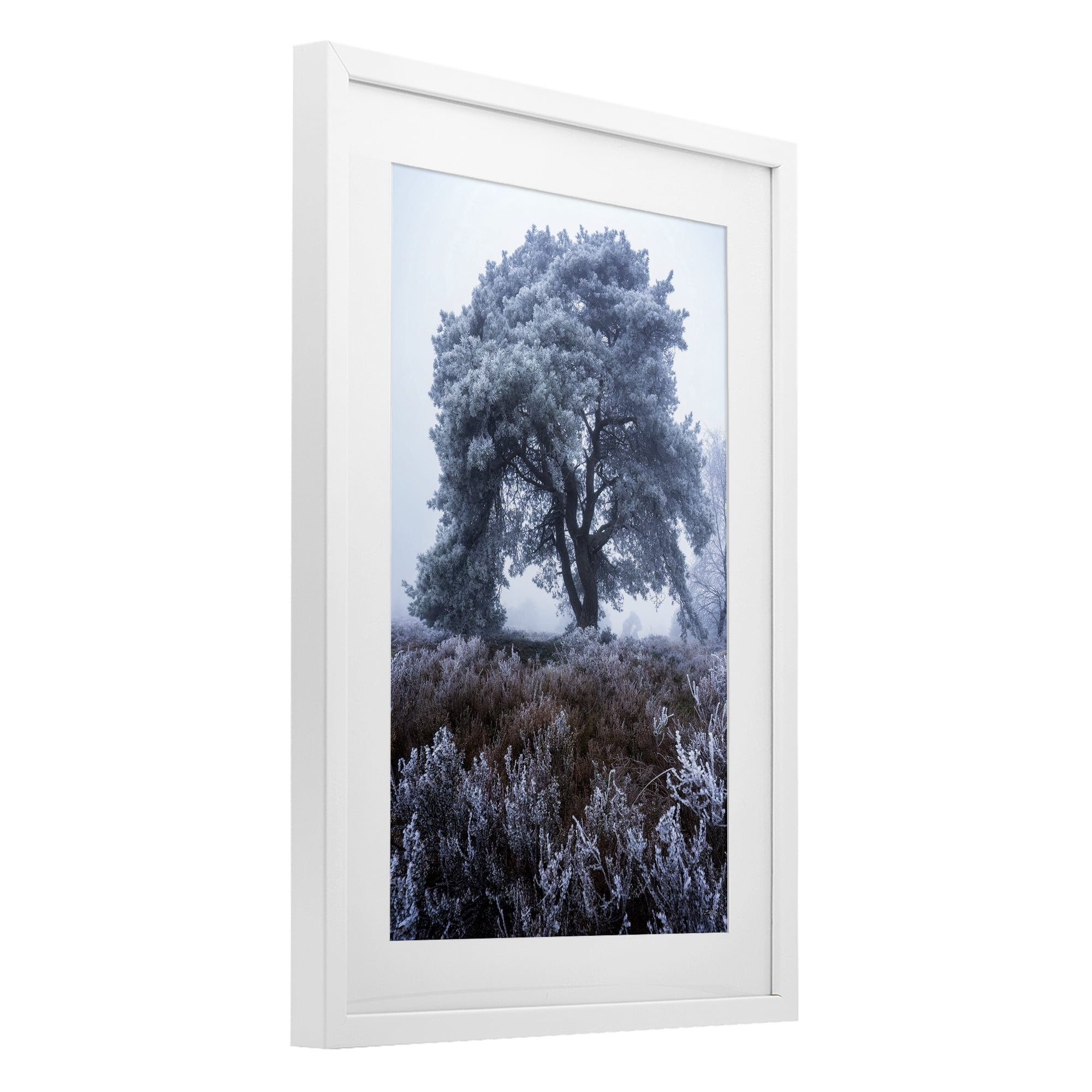 Stupell Industries Frosted Tree in Winter Mist White Framed Print Under Glass, design by Martin Podt