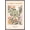 Barnwood Framed Version, variant on Reinders: Flowers - Flower Market Ibiza Botanic Wall Poster, 14.725" x 22.375" Framed