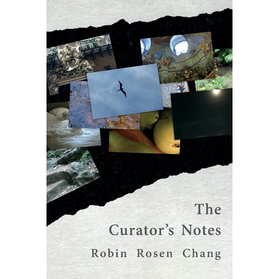The Curator's Notes, (Paperback)