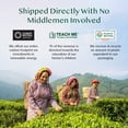 thumbnail image 4 of VAHDAM, Organic Himalayan Green Tea (100 Count) High Grown, Non GMO, Gluten Free, Low Caffeine | Earthy & Smooth | Resealable & Plant-Based Pyramid Tea Bags, 4 of 9