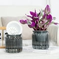 thumbnail image 5 of Low Maintenance Hydroponic Planter Tabletop Vase with Breathable Materials for Succulents Bonsais Busy Plant Enthusiasts, 5 of 9