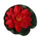 thumbnail image 1 of Flores flotantes artificiales de loto, nenúfar, plantas de jardín para tanque, estanque, decoración, 1 of 5