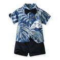thumbnail image 5 of Esaierr Kids Baby Summer Hawaii Beach 2Pcs Sets for Boys,Toddler Short Sleeve Lapel down Button down Print Beach Shirts and Short Pants Two-Piece Set,Sizes 6M-6T, 5 of 8
