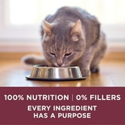 Purina ONE Plus, Urinary Tract Health Formula Dry Cat Food, Chicken, 22 lb Bag