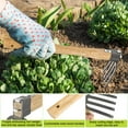 thumbnail image 3 of Japanese Hand Tiller/Rake for Garden, 15.4 Inches Stainless Steel Cultivator with Garden Hoe for Digging, Weeding, and Planting, Gardening Tool with Wooden Handle, 3 of 6