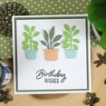 thumbnail image 3 of Moonstone Dies - Gorgeous Indoor Garden, 3 of 10