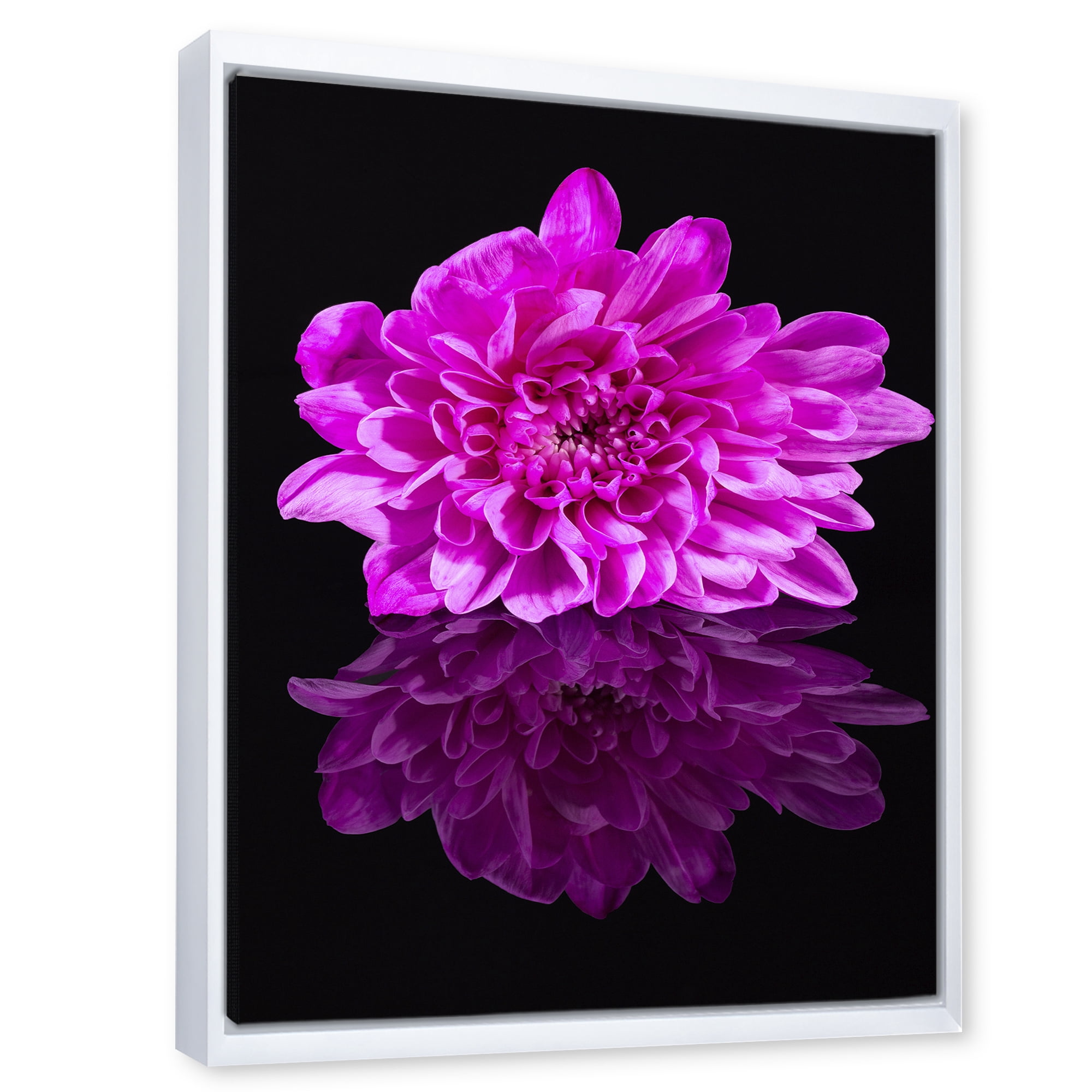 Designart 'Single Purple Chrysanthemum Flower On Black Reflection' Traditional Framed Canvas Wall Art Print