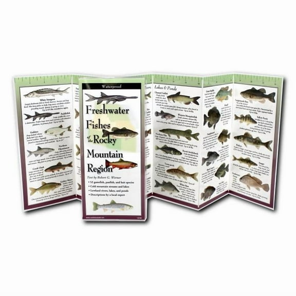 Foldingguides(tm): Freshwater Fishes of the Rocky Mountain Region (Other)