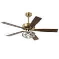 thumbnail image 4 of Parrot Uncle 52" Farmhouse Gold RGB LED Smart Ceiling Fan with Remote Control, Double-Sided Blades, 4 of 20