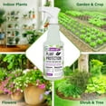 thumbnail image 2 of Mighty Mint Peppermint Oil Plant Protection Spray – Insect & Pest Control for Gnats, Spider Mites Aphids Plant-Based, Easy-to-Use - 16 oz, 2 of 3