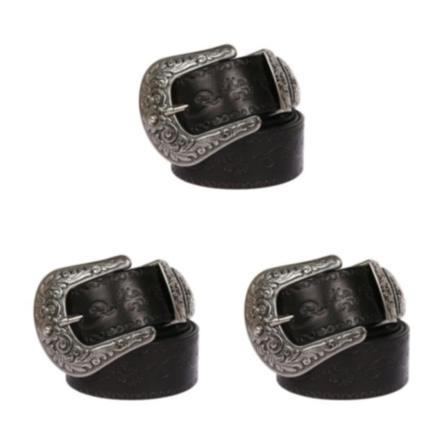 Sonducket Cinturón de cuero de PU de moda para trajes góticos Declaración audaz Cinturón de remache con patrón en relieve de moda larga Type1 NO1