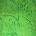 thumbnail image 1 of Ahgly Company Machine Washable Indoor Square Transitional Neon Green Area Rugs, 8' Square, 1 of 7