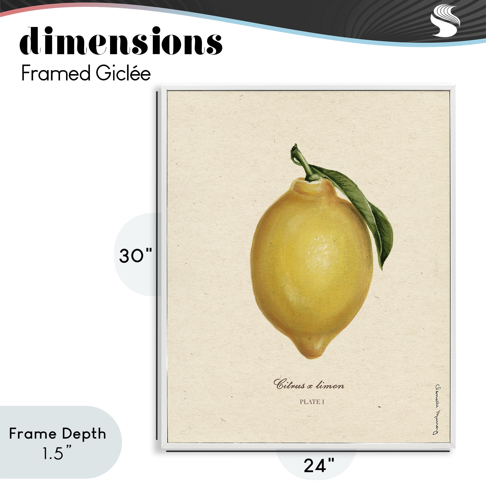 Stupell Industries Lemon Fruit Portrait White Framed Giclee Art, design by Danielle Murray