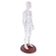 thumbnail image 3 of Modelo de acupuntura humana femenina modelo de  puntos, altura 19 Hembra Cola  Figura de punto de acupuntura, 3 of 8