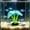 Blue, variant on Luminous Aquarium Anemone Ornament Fish Tank Decoration, Soft Silicone Coral Plant Aquascape Decor with Glowing Effect, Realistic Underwater Scenery for Freshwater Saltwater Fish Tank