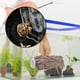 thumbnail image 3 of Tortuga de resina para tomar el sol Escalada Estación de animales acuáticos Tortugas Madera Yuyangstore Plataforma para tomar el sol de tortugas, 3 of 8
