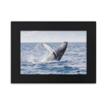 thumbnail image 1 of Ocean Humpback Fish Science Nature Picture Desktop Photo Frame Ornaments Picture Art Painting, 1 of 3