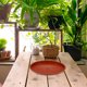 thumbnail image 1 of COSMOBETTY 5Ud Plastic Plant Pot Baseplate Flower Pot Tray with Water Absorber, 1 of 5