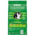 thumbnail image 3 of Iams Proactive Health Minichunks Dry Dog Food With Real Chicken And Whole Grains, 7 Lb. Bag, 3 of 13