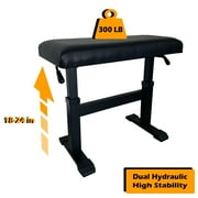 Piano Bench with Hydraulic Adjustable Seat,Harp Bench Black,27.5x12x(18-24)